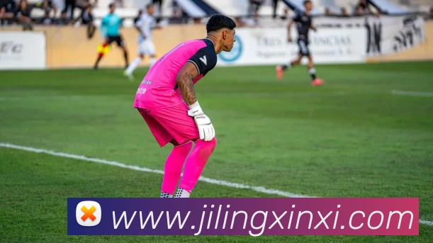 必一运动平台生态图